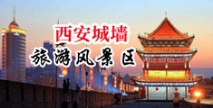 外国人操嫩逼视频中国陕西-西安城墙旅游风景区
